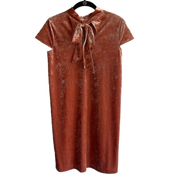 Madewell Crushed Velvet Mockneck Dress, Size XS - Picture 6 of 9